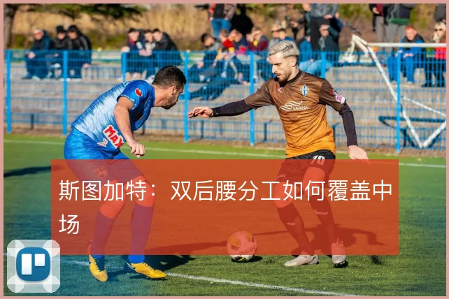 斯图加特:双后腰分工如何覆盖中场